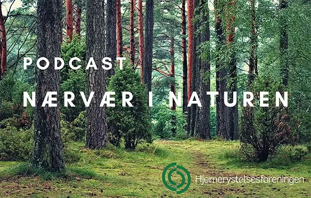 Podcast: Nærvær i naturen