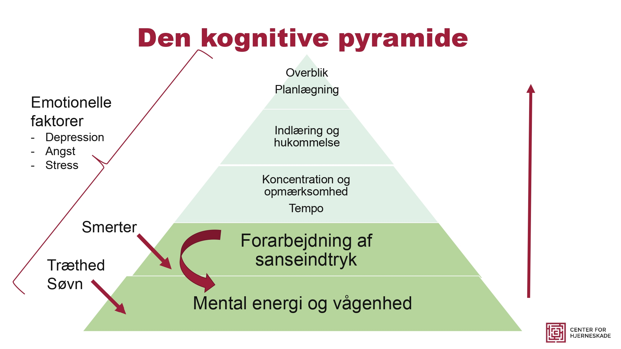 Den kognitive pyramide