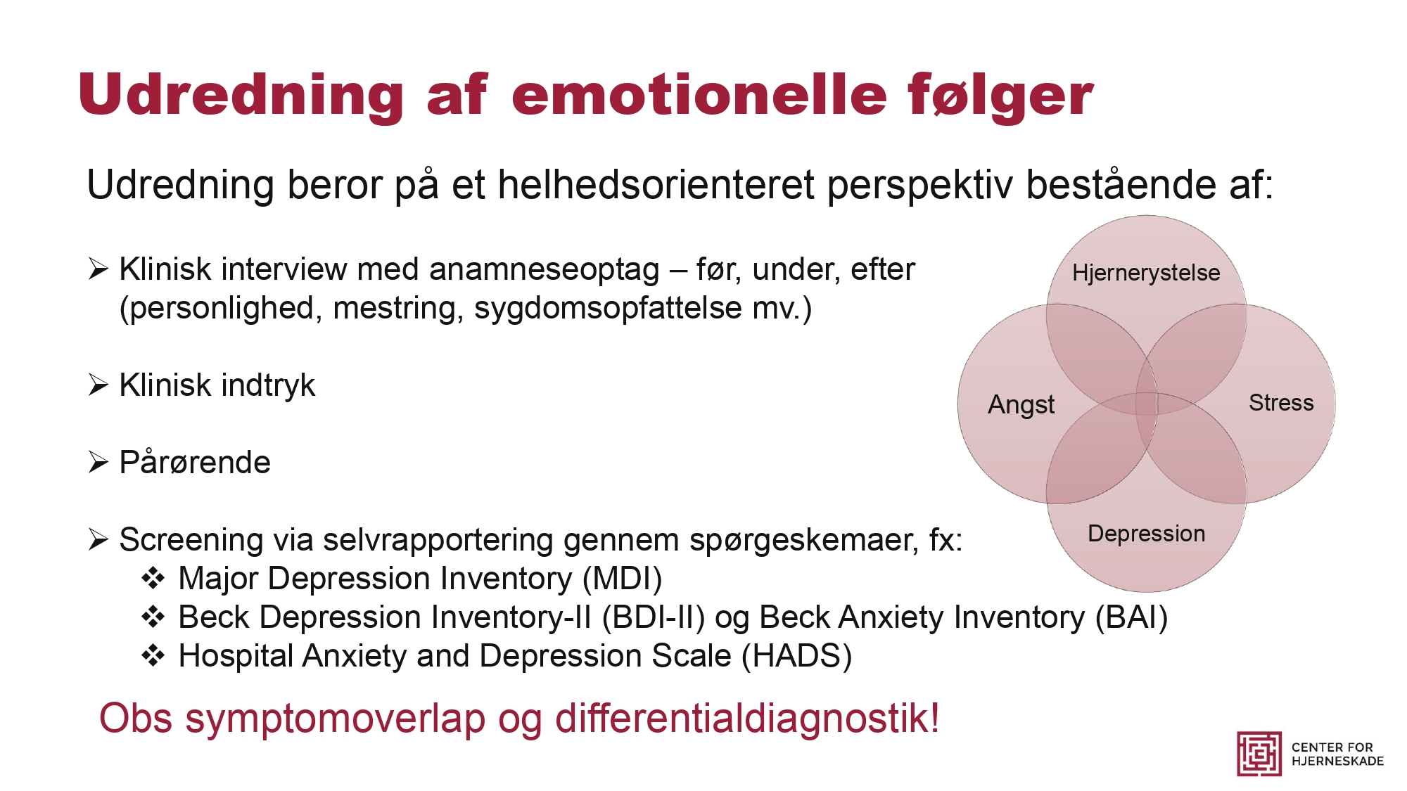 Peter Christiansen - Hjernerystelsesforeningen