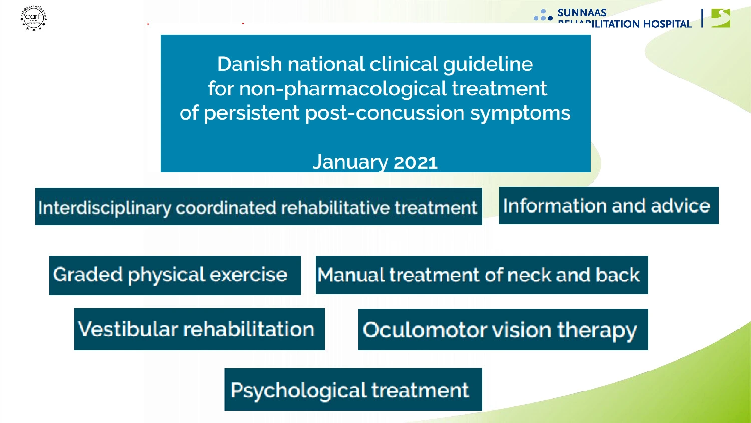 Oversigt over de ikke-farmakologiske tiltag, der indgår i behandling af PCS-ramte ifølge den danske nationale kliniske guideline