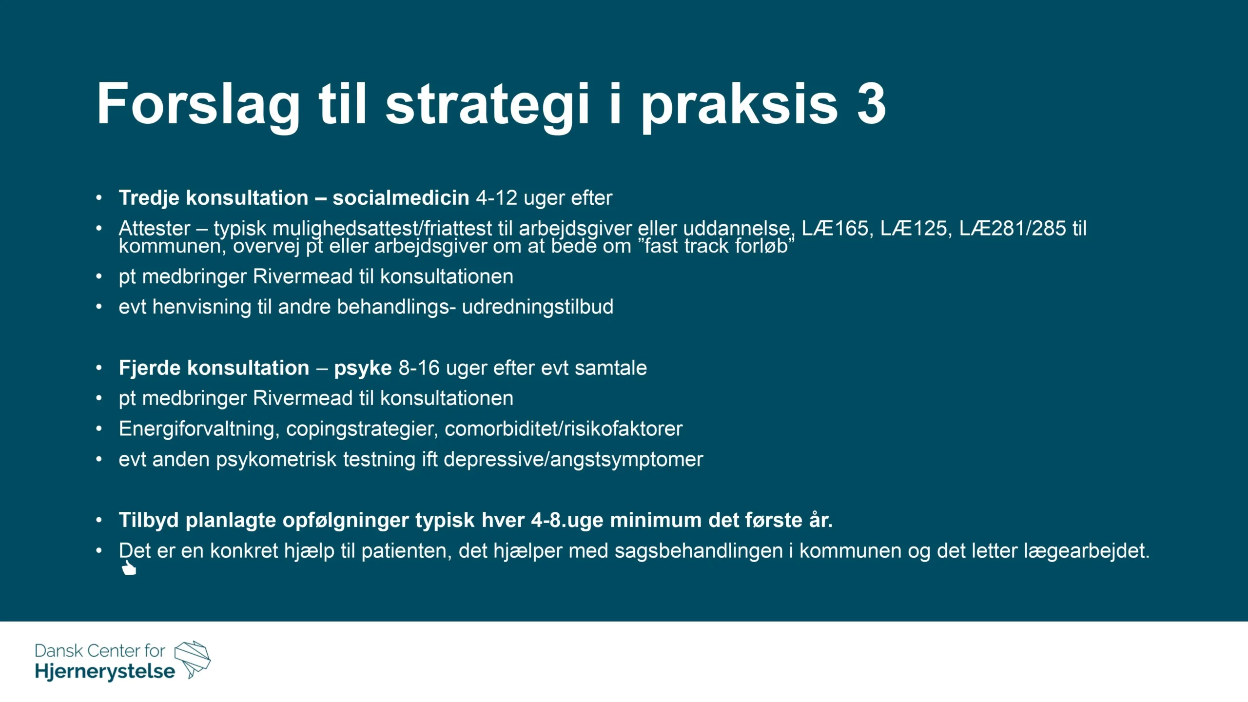 Forslag til strategi i praksis 3